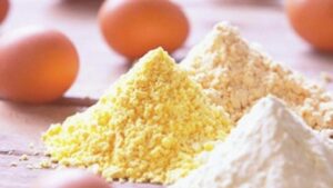 Egg Powder